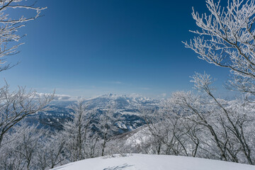 冬山遠望　日本百名山　妙高山　火打山　信州鍋倉山山頂