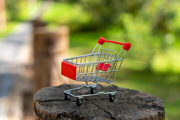 Carrito de compras de supermercado con fondo de naturaleza desenfocado 