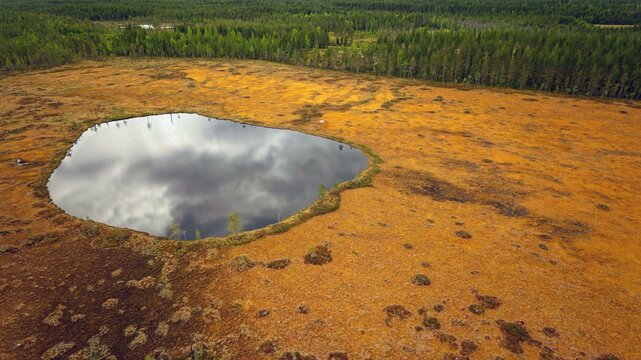 Drone image, view of a bog landscape with bog lake, intense colouring, Karelia, Eastern Finland, Finland, Europe