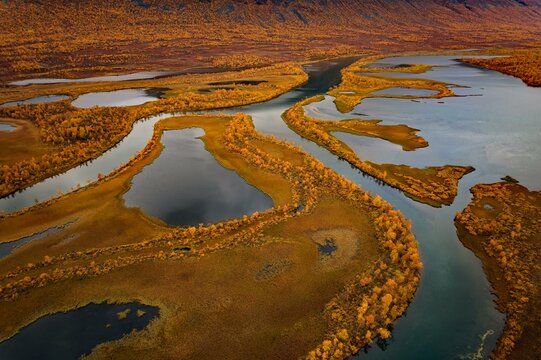Drone image, view of the river Vistasjakka, meanders, lakes, birch trees by the water, bogs, extremely colourful, autumn mood, near Nikkaluokta, Norrbottens laen, northern Sweden, Sweden, Europe