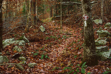Autumn leaves pass a Cumberland Trail sign in Rock Creek Gorge, Tennessee