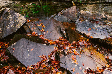 Autumn leaves scattered on dark wet rocks along the Cumberland Trail in Rock Creek Gorge, Tennessee