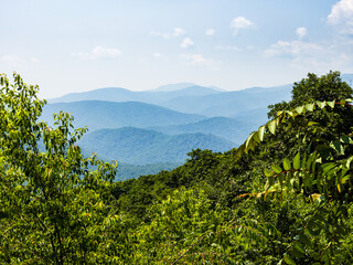 Fototapeta na wymiar Fading mountains in the distance seen through the greenery in Shenandoah National Park, Virginia, USA