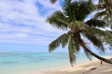 Fototapeta na wymiar Rarotonga coconut palm paradise beach white