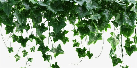 A bunch of green leaves hanging from a ceiling. Perfect for adding a touch of nature to any indoor space