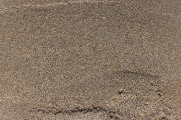 Fototapeta na wymiar Closeup of Fine Sand For Background Or Texture