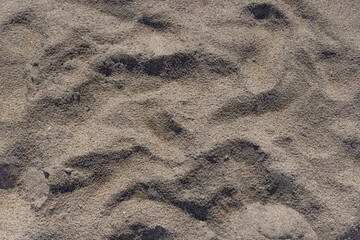 Sand Texture Background. Closeup of Fine Sand in The Sun