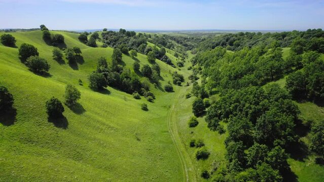Drone fly above green valley between rolling hills covered with grass and trees