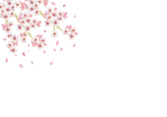 Obraz na płótnie Canvas 水彩和風の桜フレーム（左上）