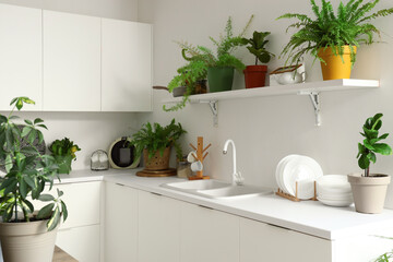 Interior of kitchen with green plants and counters