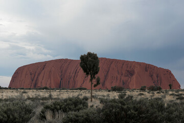 Uluru Mountain - Powered by Adobe