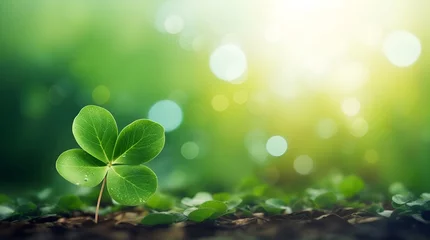 Foto op Aluminium a leave of lucky clover against bokeh background with copy space © Mariana
