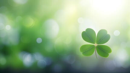 a leave of lucky clover against bokeh background with copy space - obrazy, fototapety, plakaty
