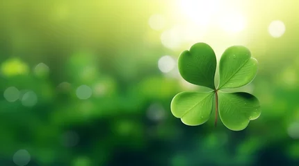 Foto op Canvas a leave of lucky clover against bokeh background with copy space © Mariana
