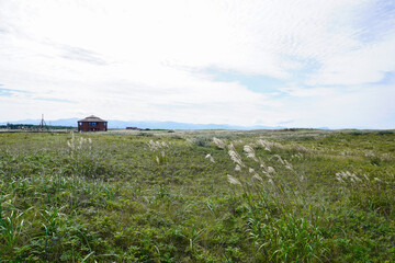 はまなすの丘公園（北海道石狩市）