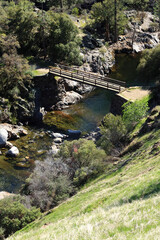 A wooden bridge spanning a river in the middle of a forest