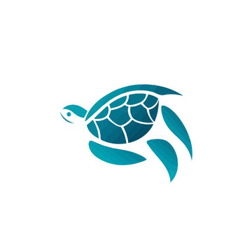 Turtle logo design template. Turtle vector icon. Turtle logotype