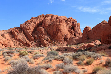 Red rock and red desert with sparse shrubs