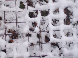 snow on the fence