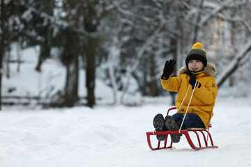 Cute little boy enjoying sledge ride through snow in winter park, space for text