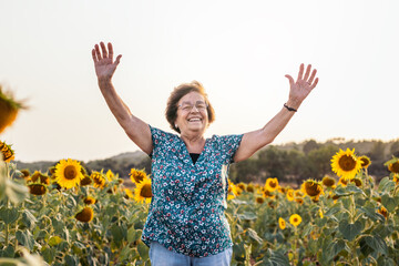 Elderly woman in a field of sunflowers