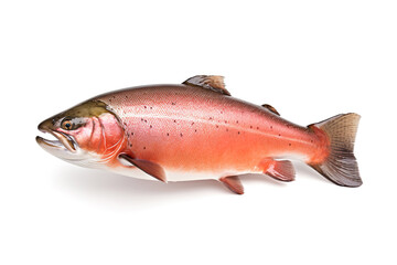 Image of a salmon fish isolated on white background. Fresh fish. Underwater animals. Generative AI.