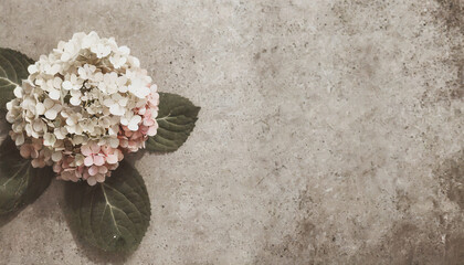 Hydrangeas on a concrete table