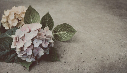 Hydrangeas on a concrete table