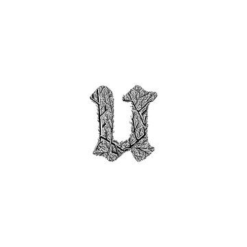 letter u branches hand drawing vector isolated on background.