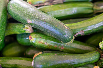 A stack of fresh vibrant green manny cucumbers. The vegetables have thin skin with a sour flavor. A...