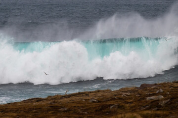 An angry turquoise green color massive rip curl of a wave as it rolls along a beach. The white mist...