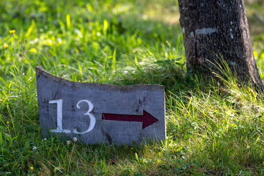A grey flat stone with 13 engraved and painted white. There's a directional arrow to the right on lush green grass at the base of a large tree trunk. The golf sign is a thirteenth tee marker.