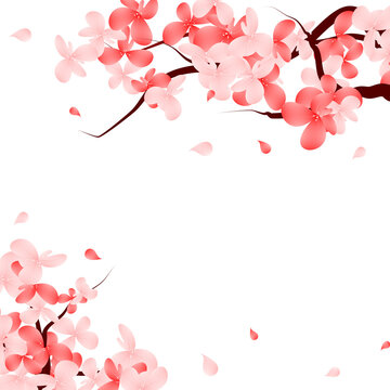 Sakura Bloom Flower Cartoon Frame. Cherry Blossom Background. Pink Flower Border.
