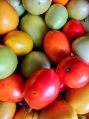 tomatoes in red, yellow and green
