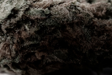 Medical cannabis marijuana, jointed herb drugs.