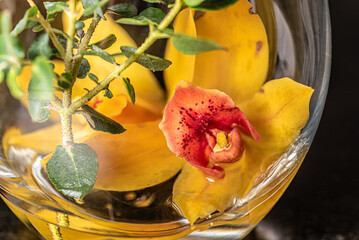 A flower placed inside a drinking glass is distorted by the glass curve