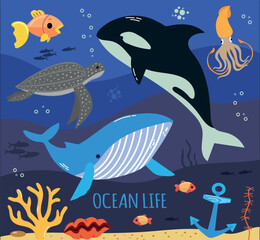 Set of sea and ocean animals turtle, squid, fishes and whales  cartoon vector illustration