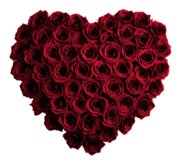 Isolated heart shape with red roses. Garnet flower love heart on transparent background. Generative AI.