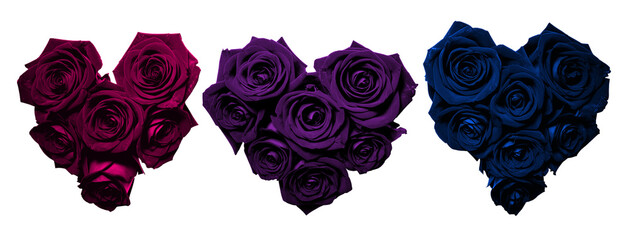 Isolated heart shapes with magenta or pink, purple and blue roses. Dark flower love hearts on transparent background. Generative AI.