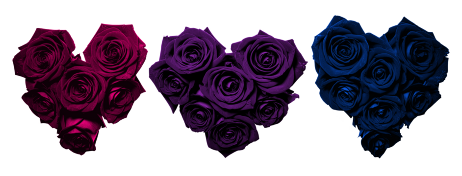 Isolated heart shapes with magenta or pink, purple and blue roses. Dark flower love hearts on transparent background. Generative AI.