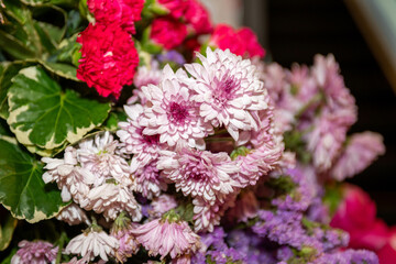 Beautiful flowers bouquet in different color tone and styles in Thailand market, nice background textures. Thai orchids, roses, carnations etc. Close up shot.