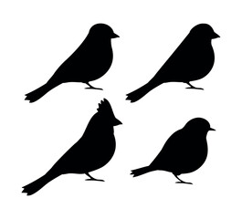 Vector set of flat small birds silhouette isolated on white background