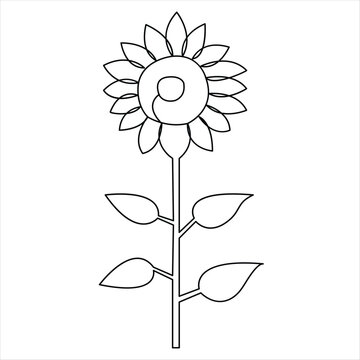 Sunflower continuous single line art drawing outline vector illustration design minimalist