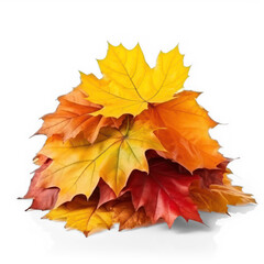 pile of autumn leaves on isolate transparency background, PNG