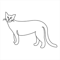 Cat pet animal single line art drawing continuous outline vector illustration minimalist