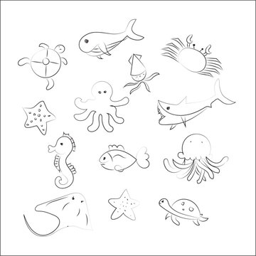  Life animals under the sea with fish, shark, squid, octopus, whale, jellyfish and turtle. 