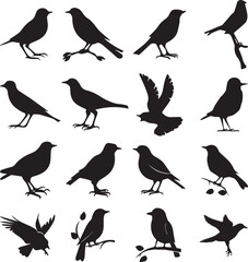 Bird's black silhouettes set. bird silhouettes on white background