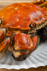 angle view fresh cooked crab close up at vertical composition