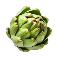 Fototapeta premium Floating Fresh Artichoke