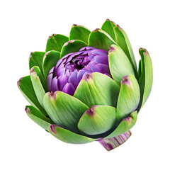 Fototapeta premium Floating Green Artichoke With A Purple Center